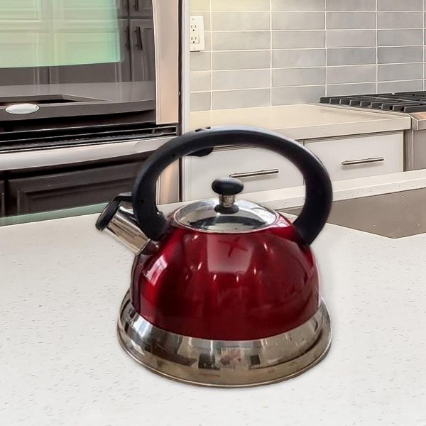 Whistling Kettle 1.7 Litre Stainless Steel - Image 4