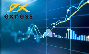 Understanding the Role of IB Broker Exness in Forex Trading 7